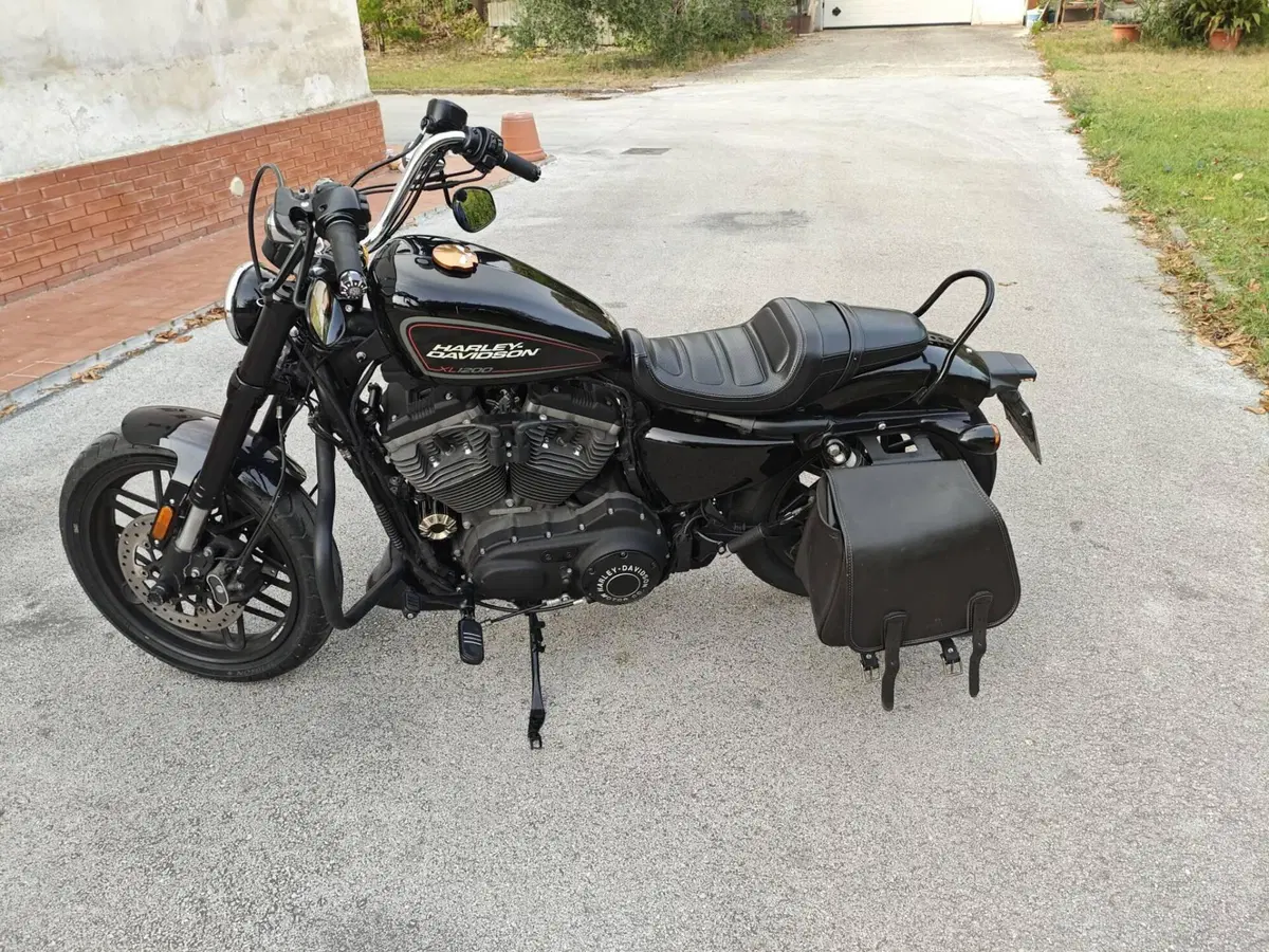Harley-Davidson 1200 Roadster (2017 - 20) - XL 1200R (3)