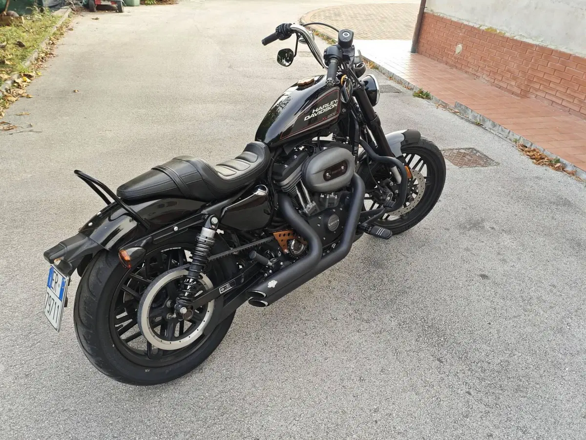 Harley-Davidson 1200 Roadster (2017 - 20) - XL 1200R (4)