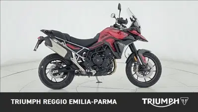 Triumph Tiger 1200 GT Pro (2024 - 26) usata