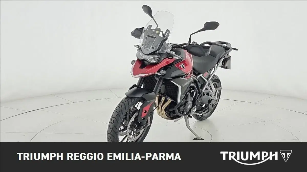 Triumph Tiger 1200 GT Pro (2024 - 26) (6)