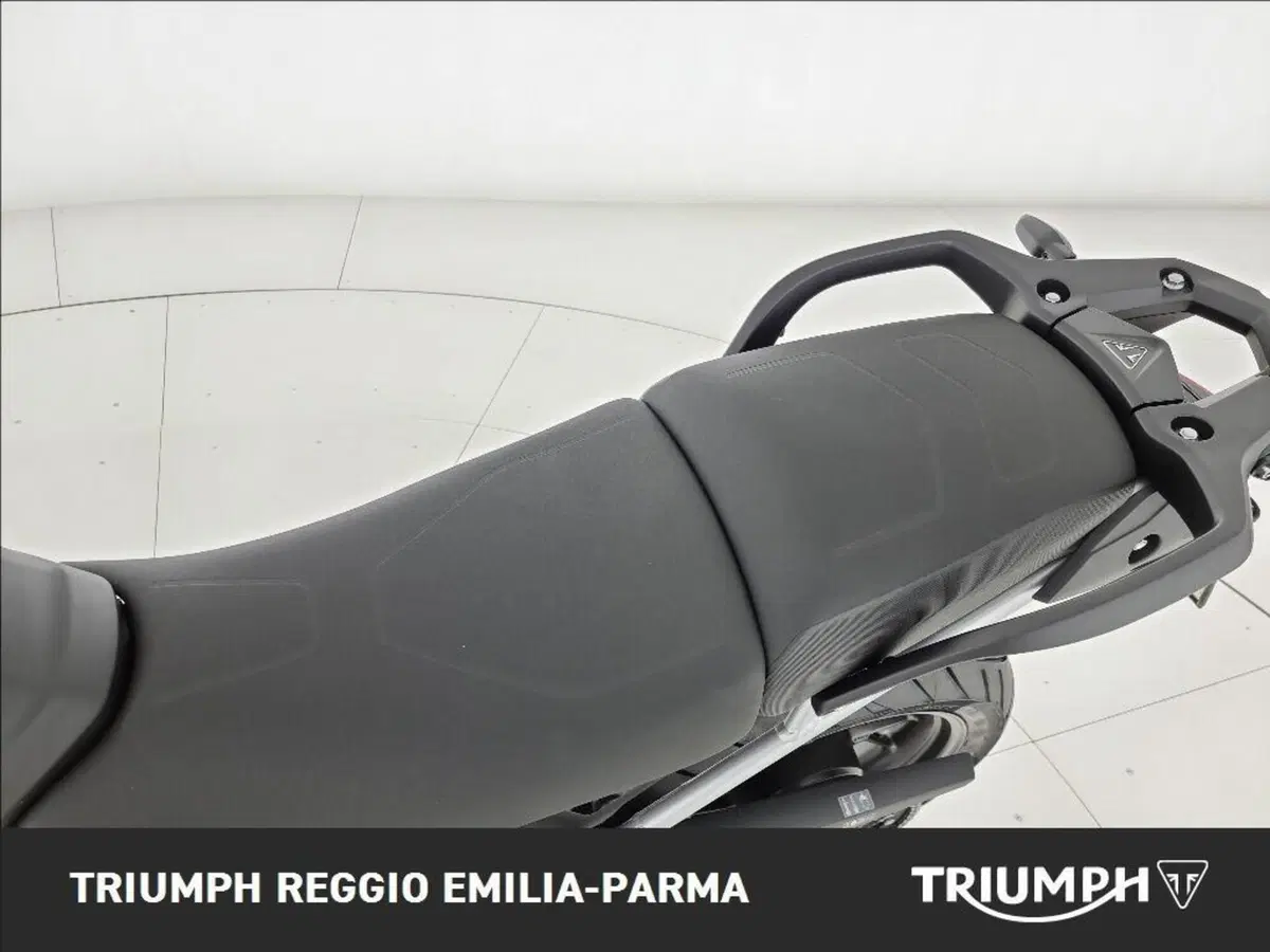 Triumph Tiger 1200 GT Pro (2024 - 26) (14)