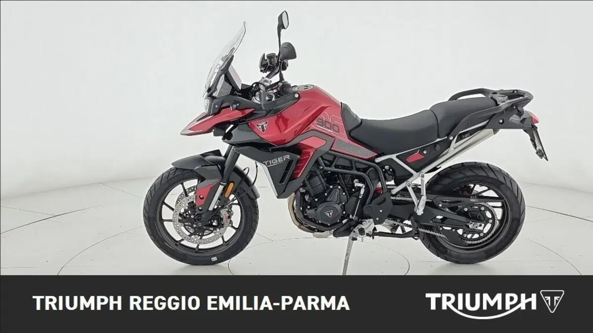 Triumph Tiger 1200 GT Pro (2024 - 26) (7)