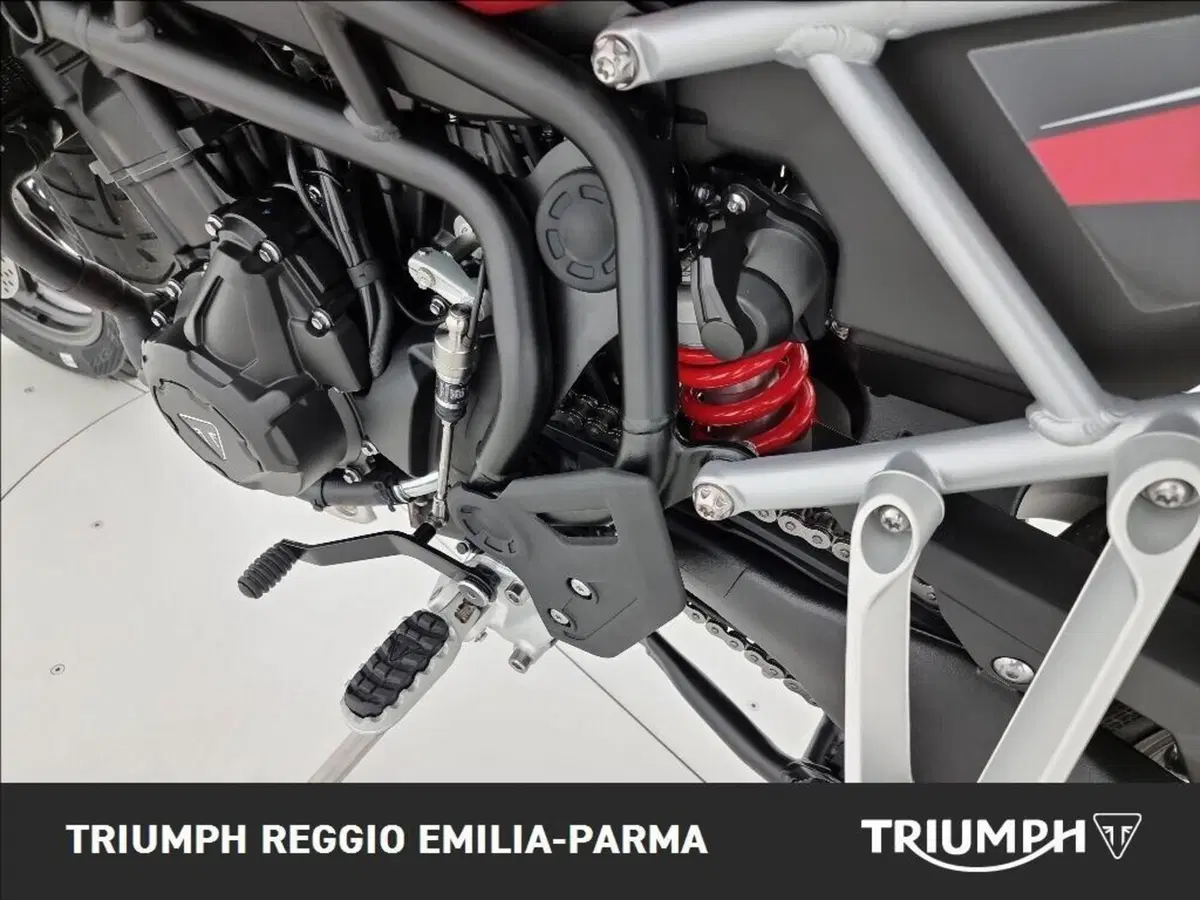 Triumph Tiger 1200 GT Pro (2024 - 26) (16)