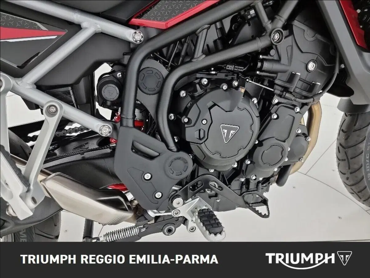 Triumph Tiger 1200 GT Pro (2024 - 26) (21)