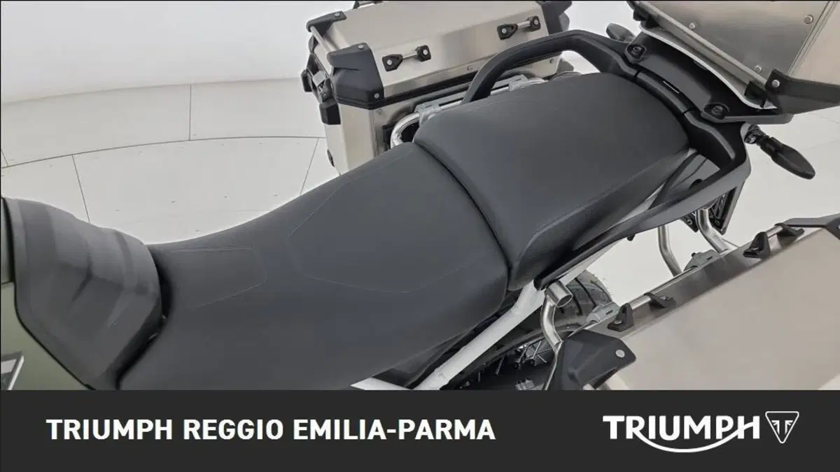 Triumph Tiger 900 Rally Pro (2020 - 23) (13)