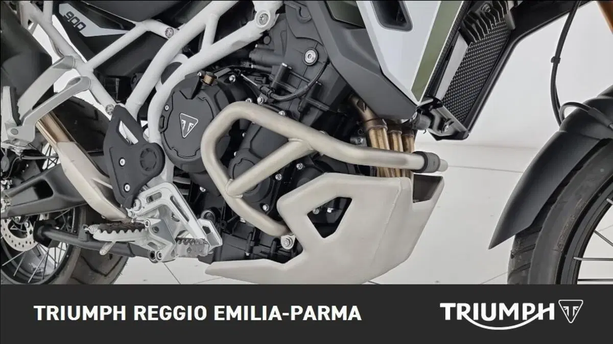 Triumph Tiger 900 Rally Pro (2020 - 23) (18)