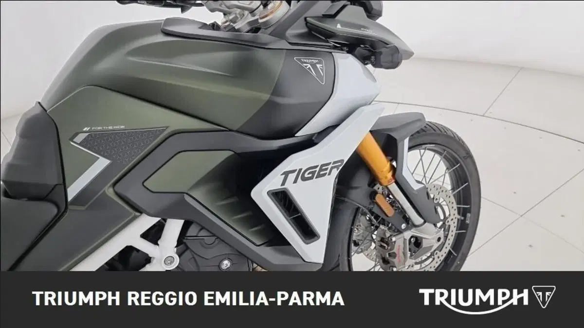 Triumph Tiger 900 Rally Pro (2020 - 23) (20)