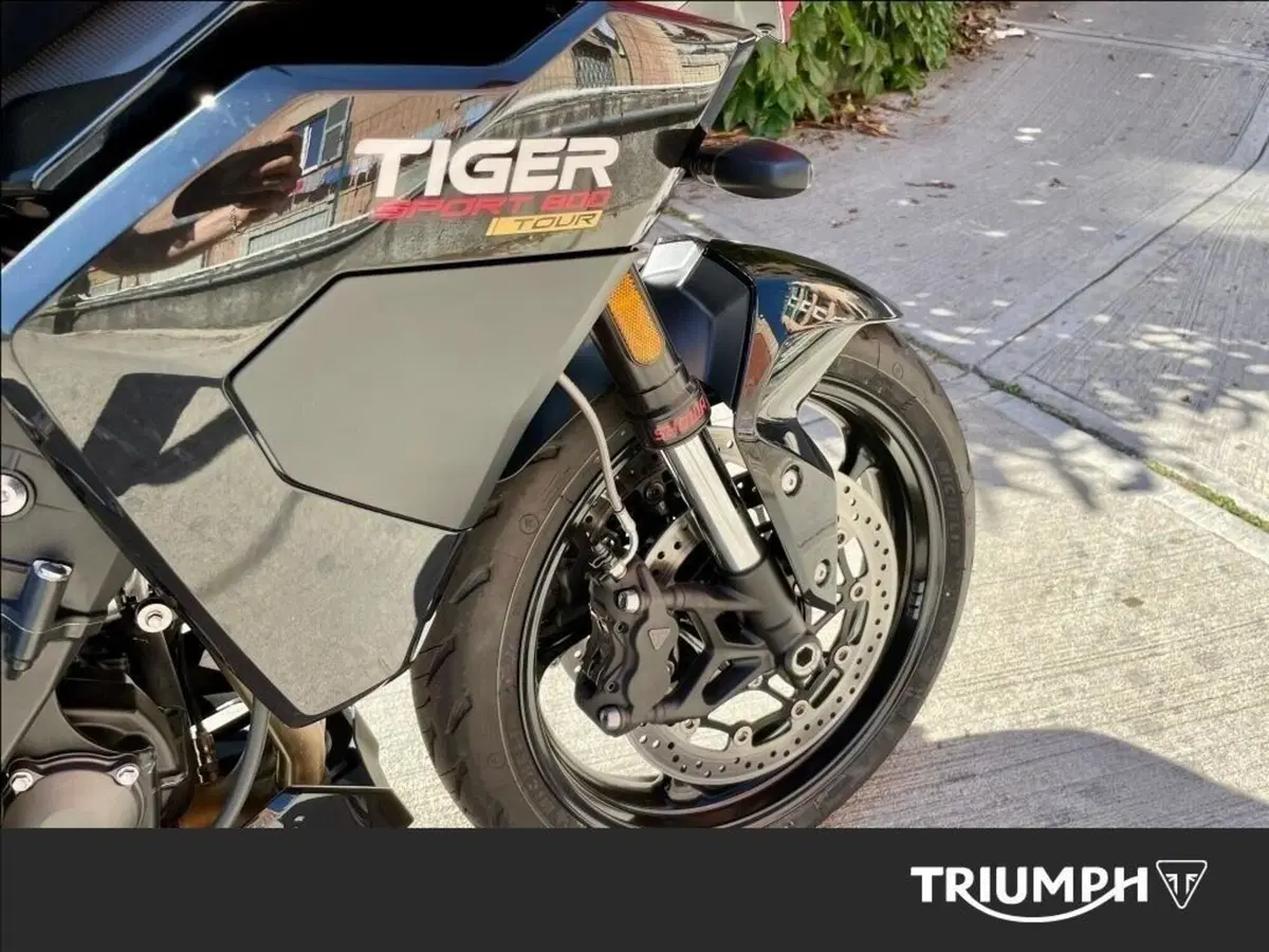 Triumph Tiger Sport 800 Tour (2026) (6)