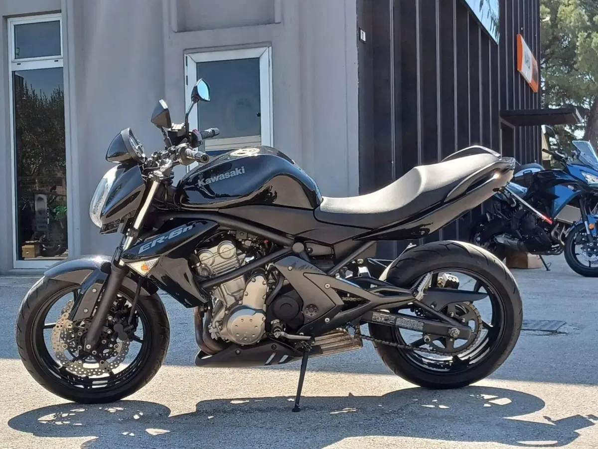 Kawasaki ER-6N (2005 - 08) (3)