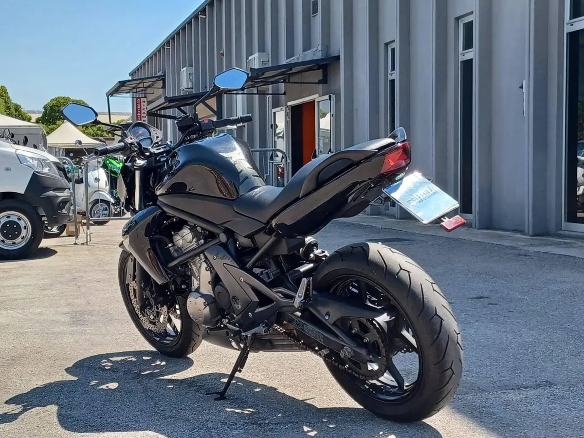 Kawasaki ER-6N (2005 - 08) (4)
