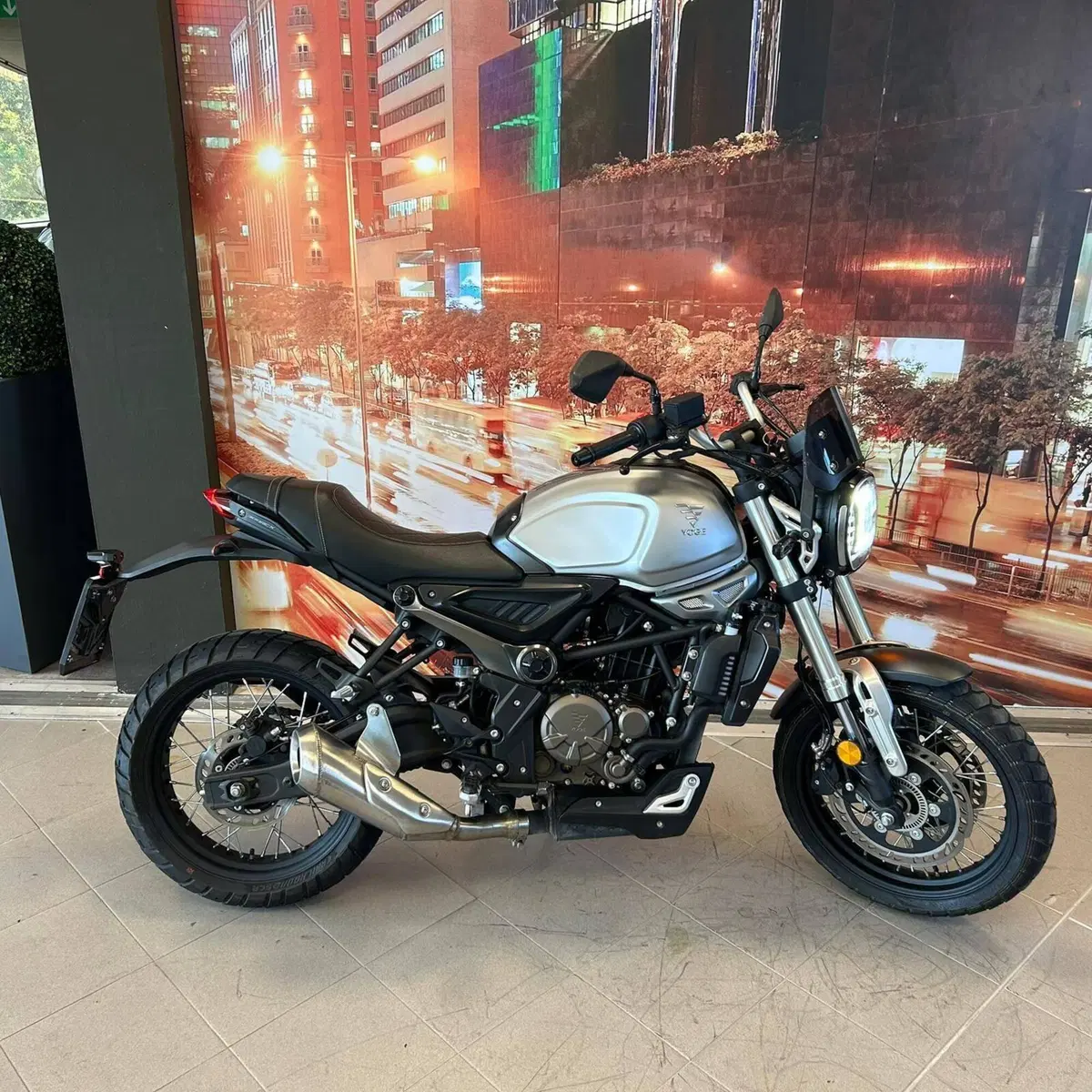 Voge Trofeo 300ACX Scrambler (2021 - 26)