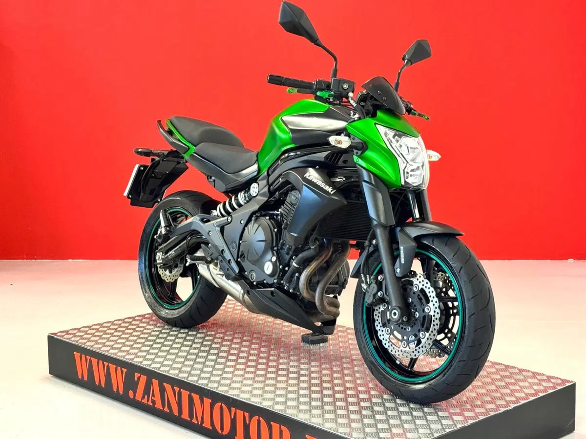 Kawasaki ER-6N ABS (2012 - 16) (2)