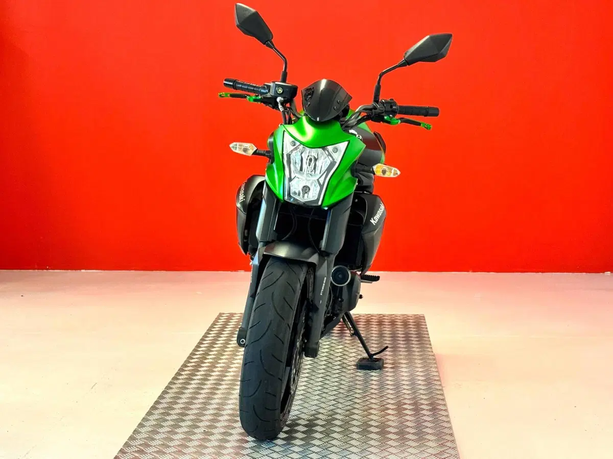 Kawasaki ER-6N ABS (2012 - 16) (3)