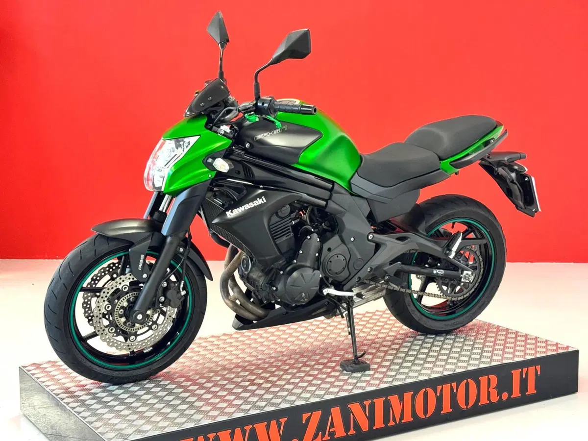 Kawasaki ER-6N ABS (2012 - 16) (4)