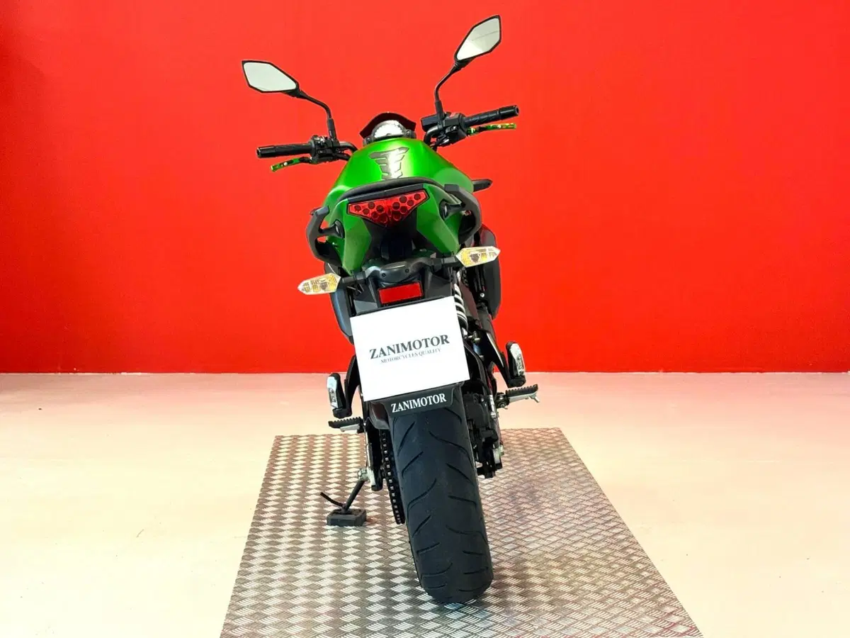 Kawasaki ER-6N ABS (2012 - 16) (7)