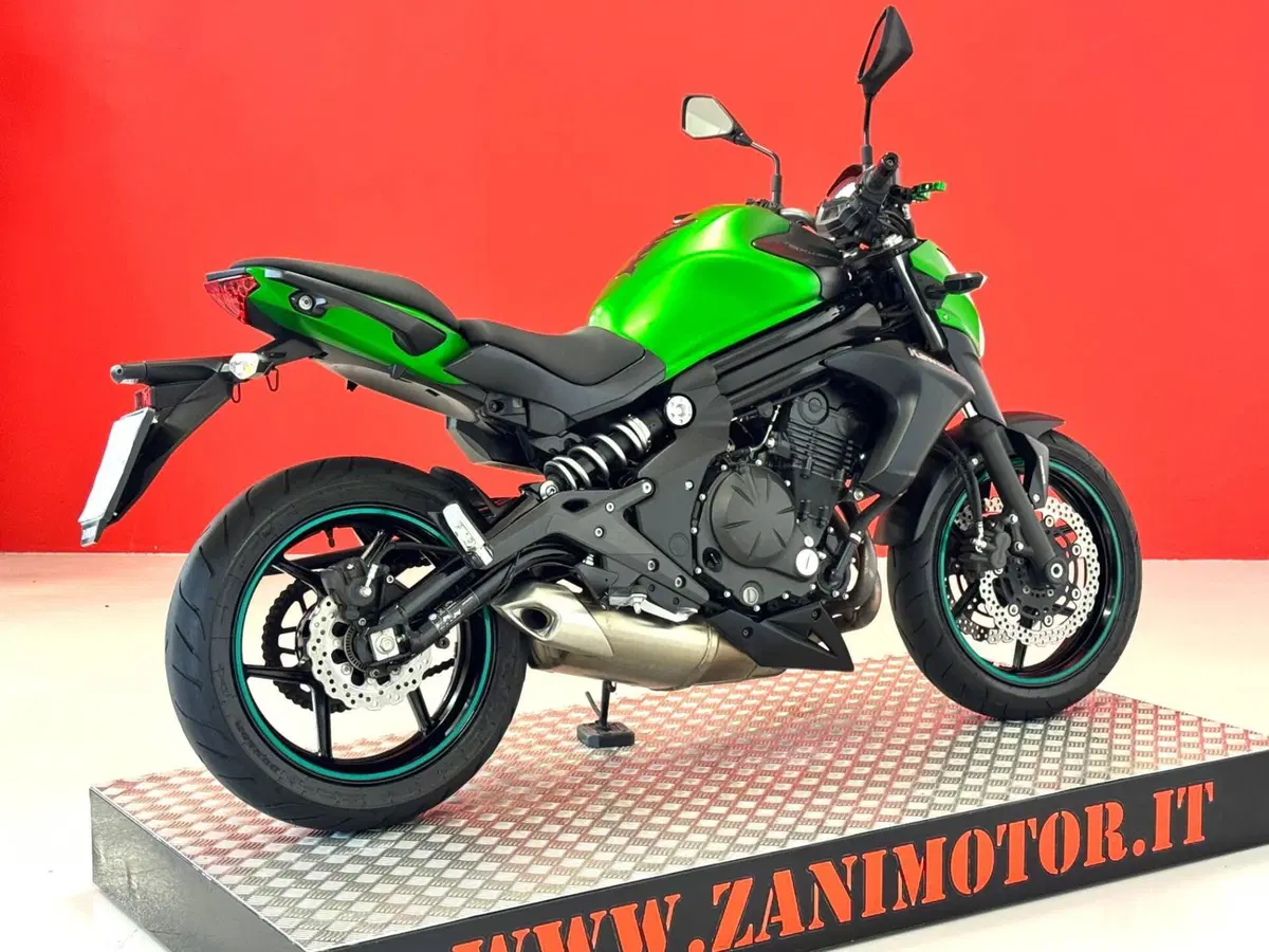 Kawasaki ER-6N ABS (2012 - 16) (8)