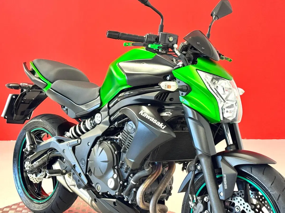 Kawasaki ER-6N ABS (2012 - 16) (9)