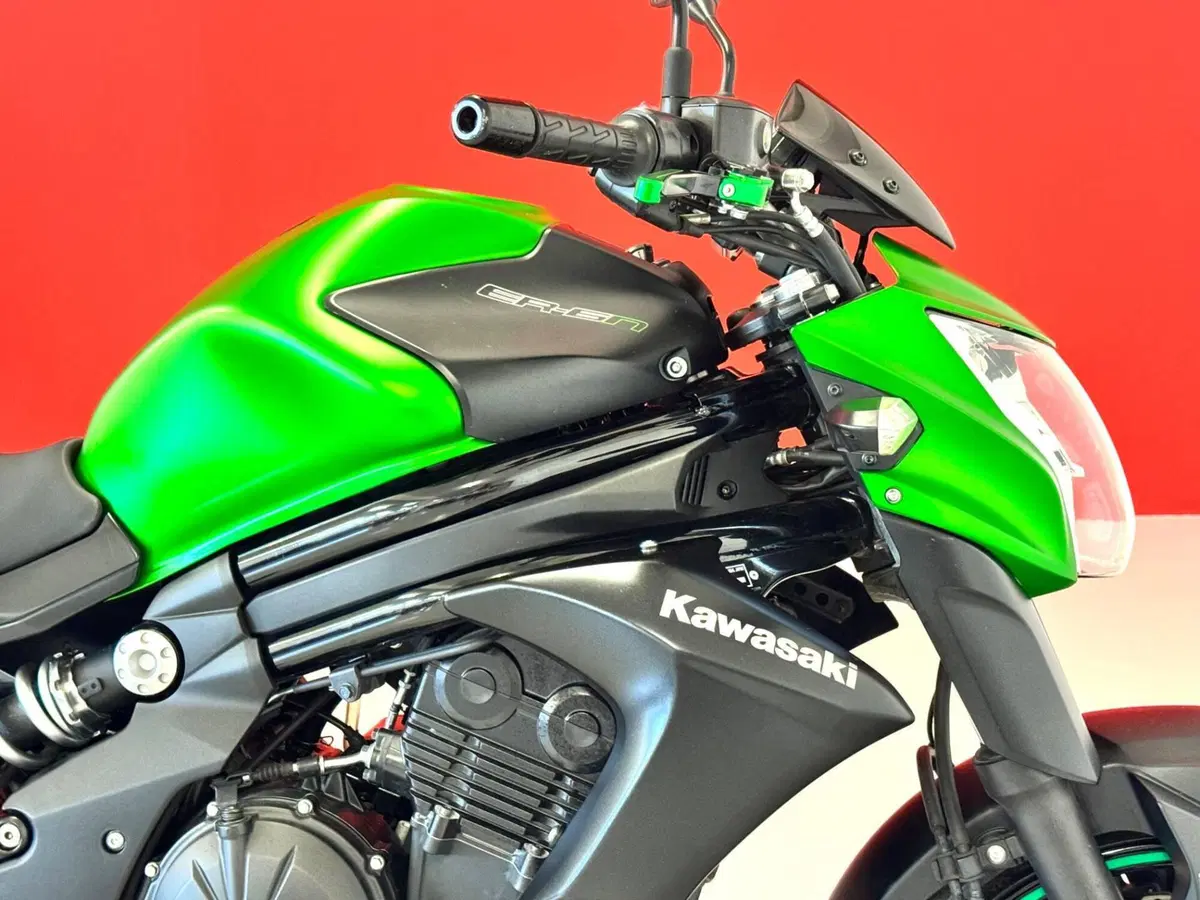 Kawasaki ER-6N ABS (2012 - 16) (10)