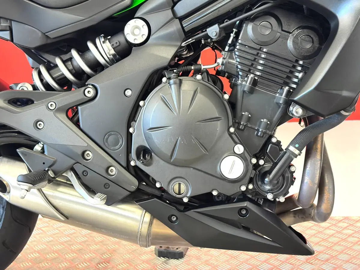 Kawasaki ER-6N ABS (2012 - 16) (11)