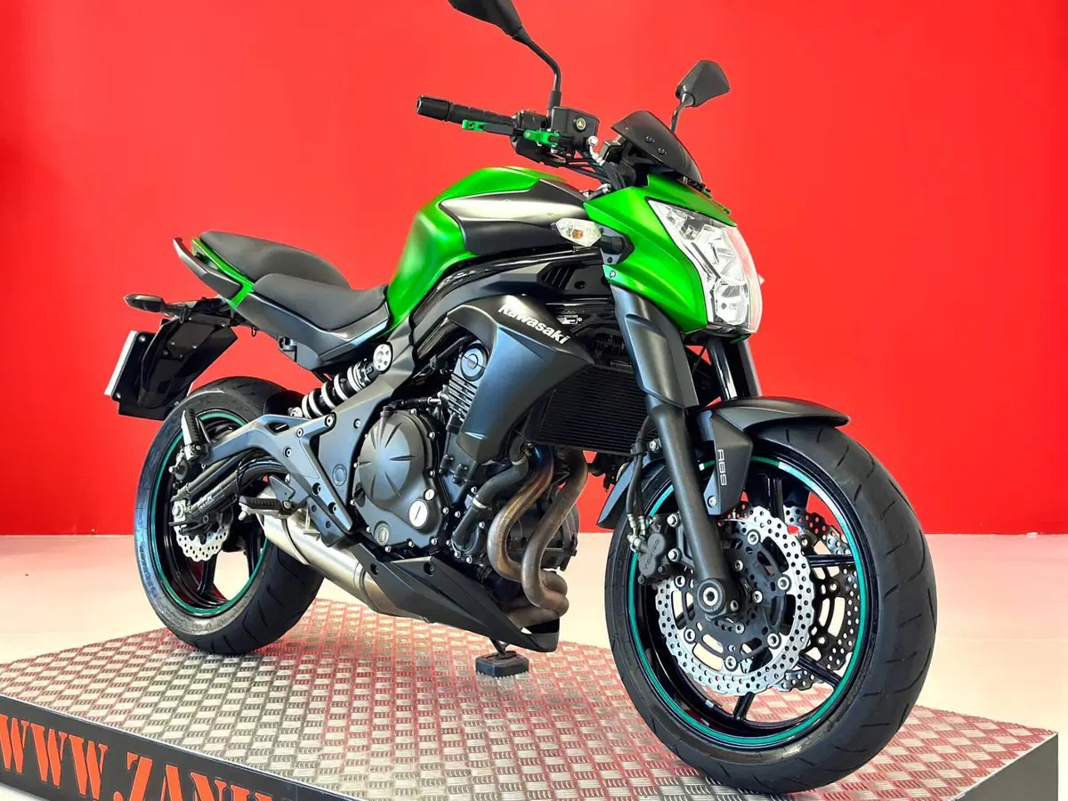Kawasaki ER-6N ABS (2012 - 16) (12)