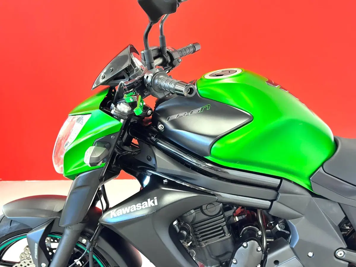 Kawasaki ER-6N ABS (2012 - 16) (15)