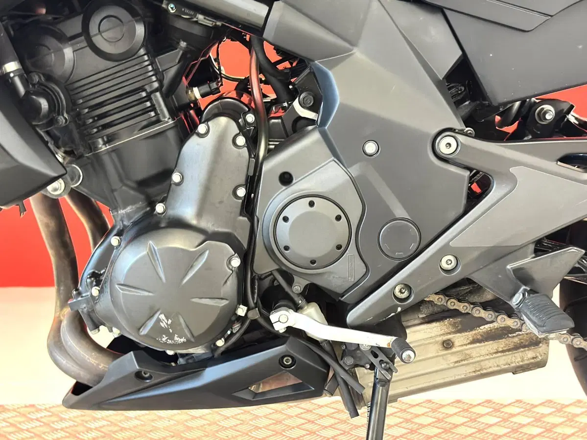 Kawasaki ER-6N ABS (2012 - 16) (16)