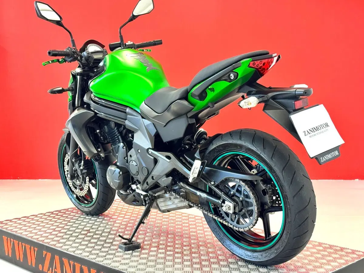 Kawasaki ER-6N ABS (2012 - 16) (17)