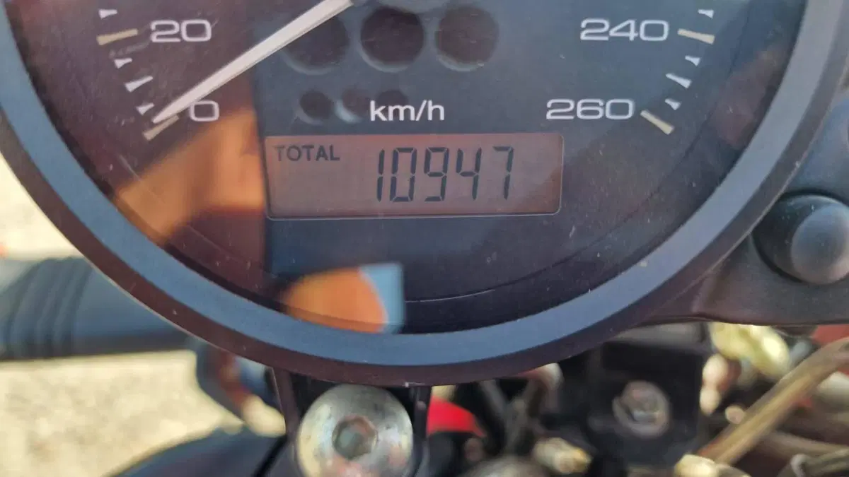 Ducati Monster 695 (2006 - 08) (7)