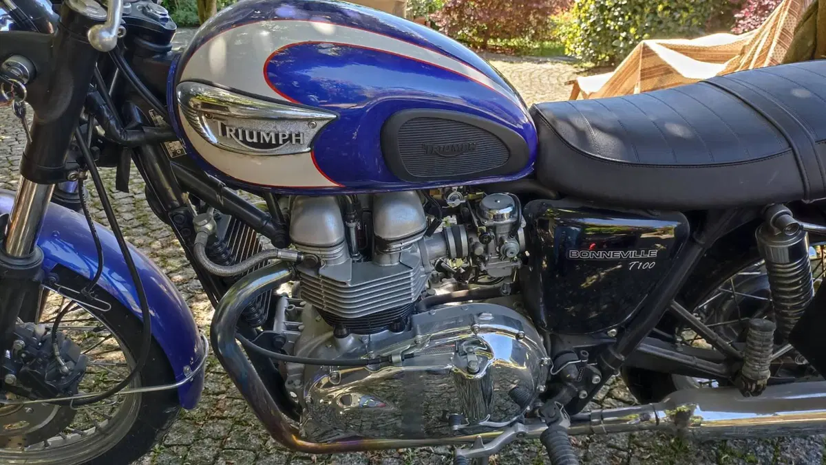 Triumph Bonneville T100 (2001 - 07) (2)