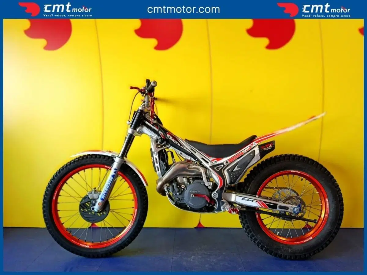 Betamotor Evo 250 2t (2008 - 09) (3)