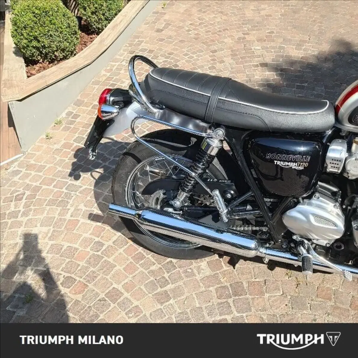 Triumph Bonneville T120 (2016 - 20) (2)
