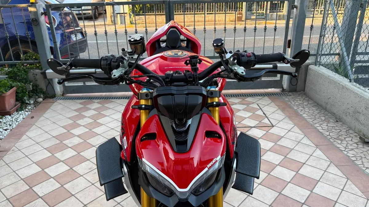 Ducati Streetfighter V4 1100 S (2020) (16)