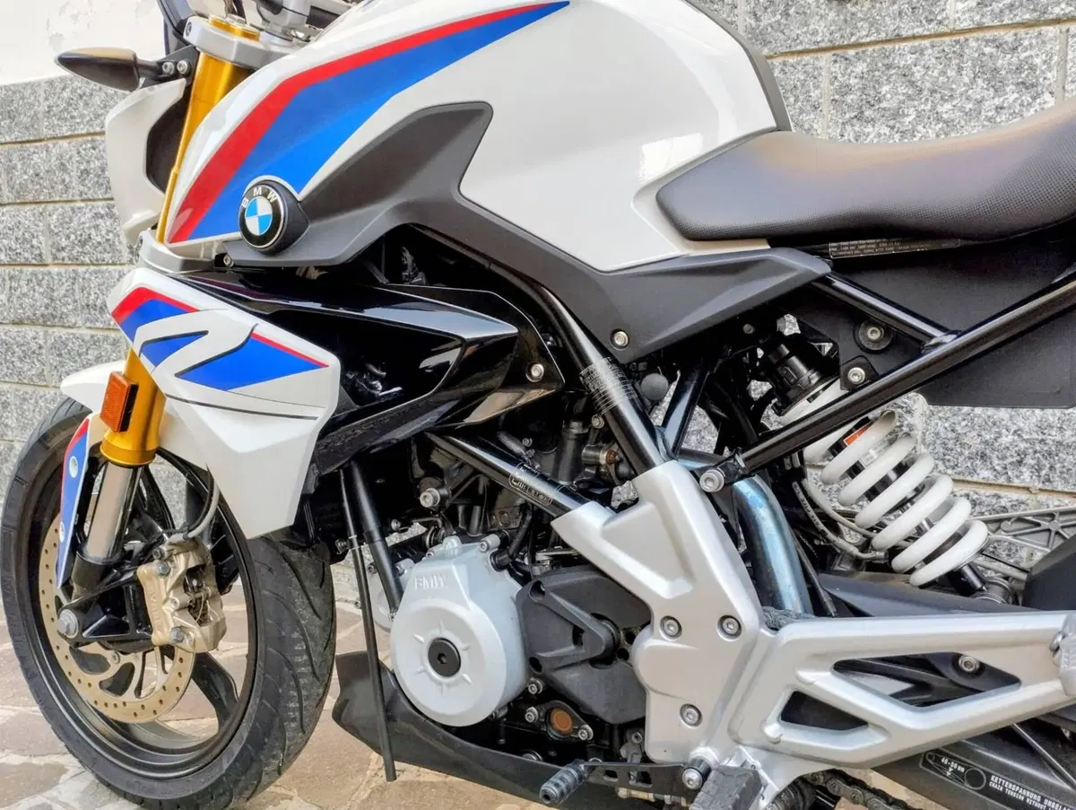 Bmw G 310 R (2016 - 20) (2)