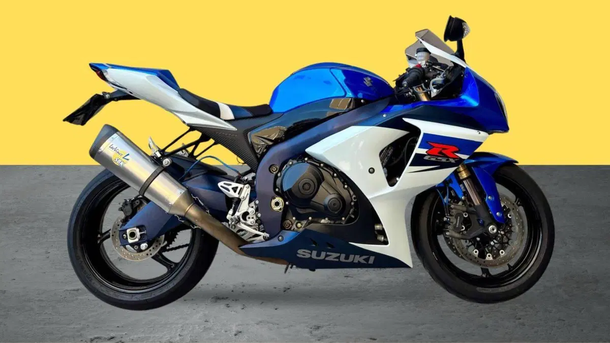 Suzuki GSX-R1000 (2009 - 11) (3)