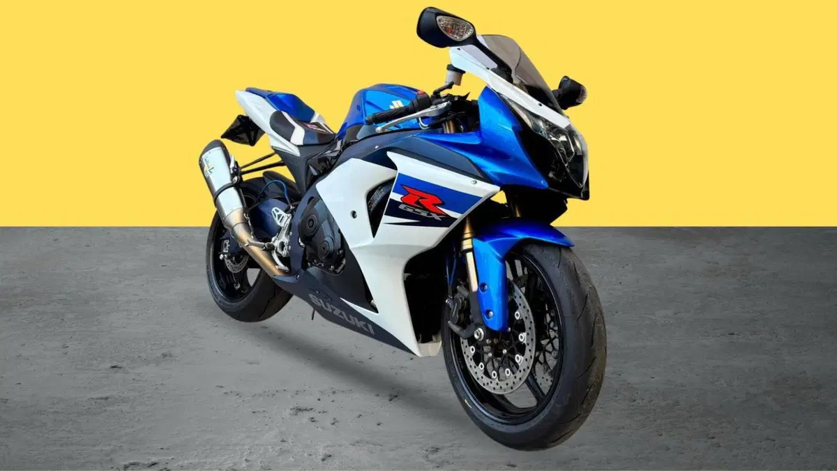 Suzuki GSX-R1000 (2009 - 11) (2)