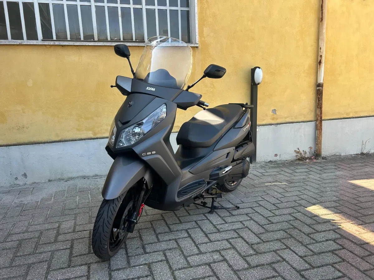 Sym CityCom 300 S (2015 - 17) (7)
