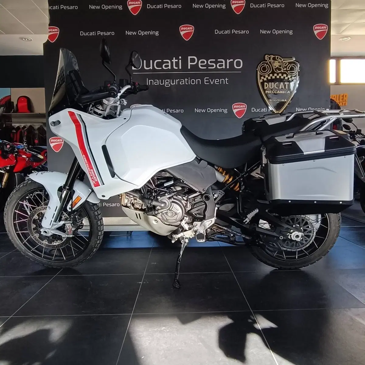 Ducati DesertX (2022 - 25) (4)