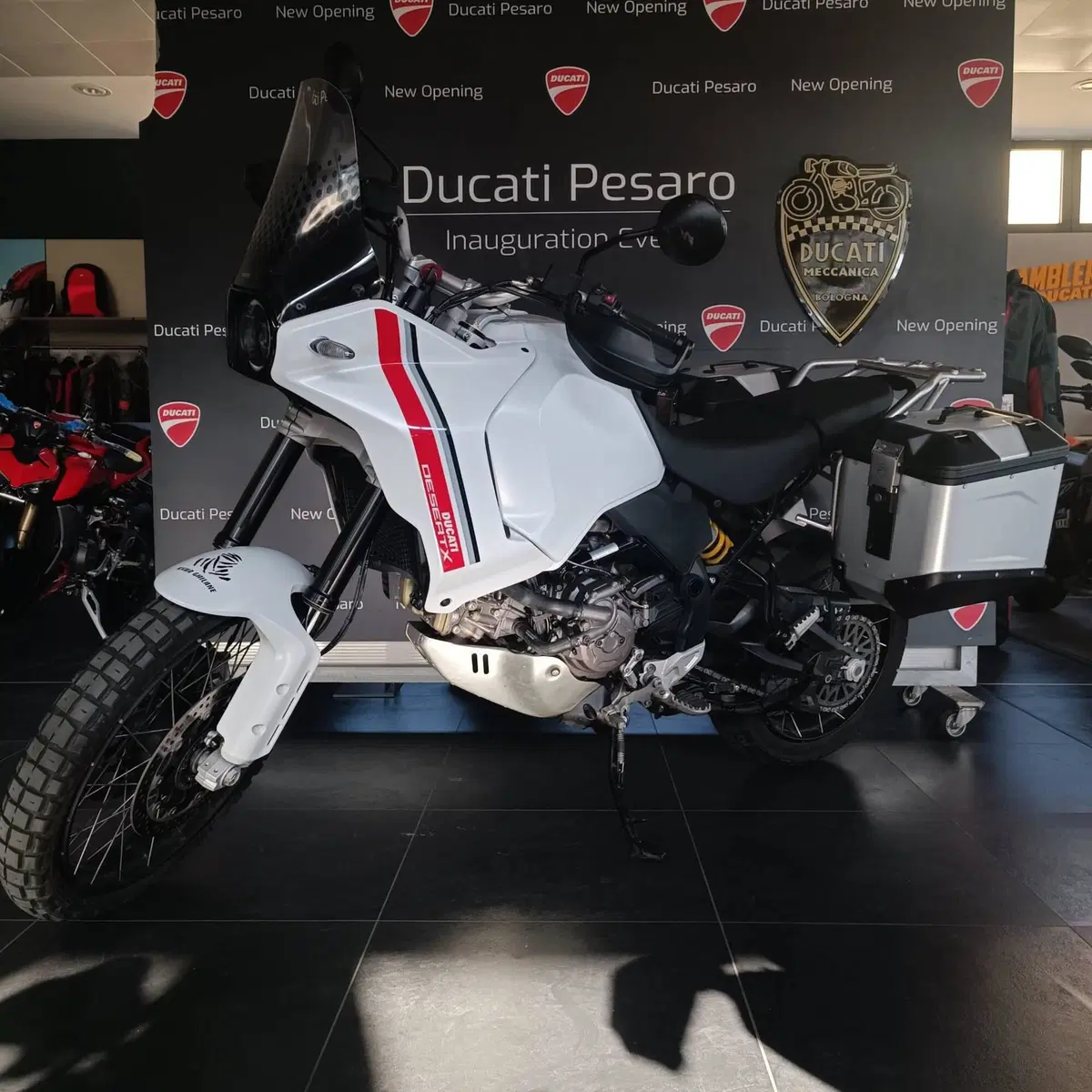 Ducati DesertX (2022 - 25) (6)