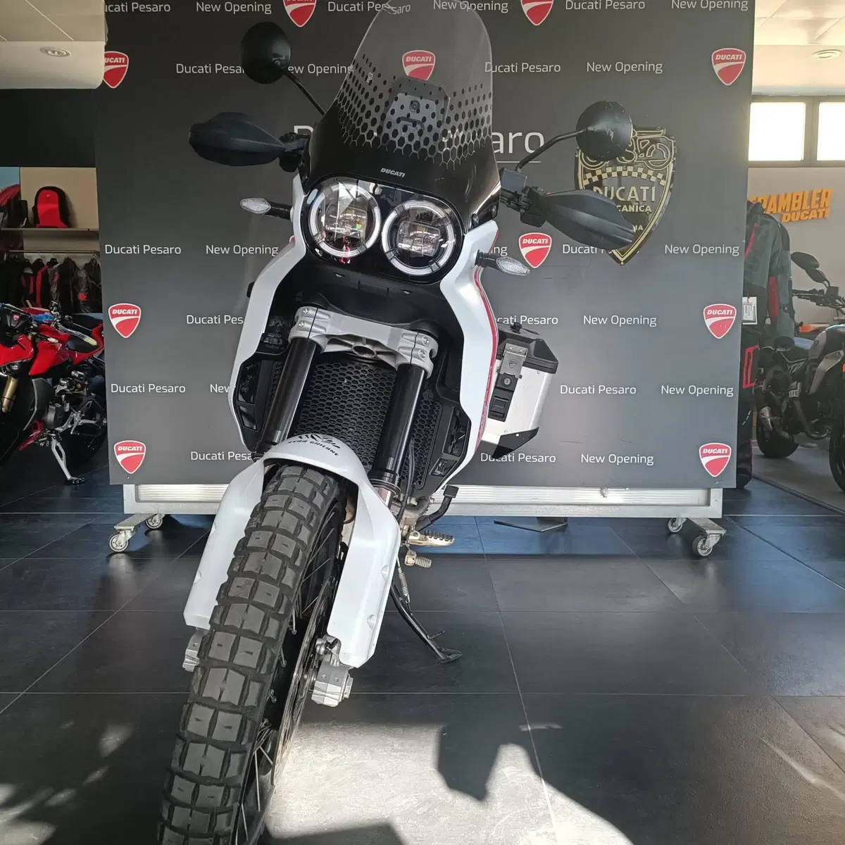 Ducati DesertX (2022 - 25) (7)