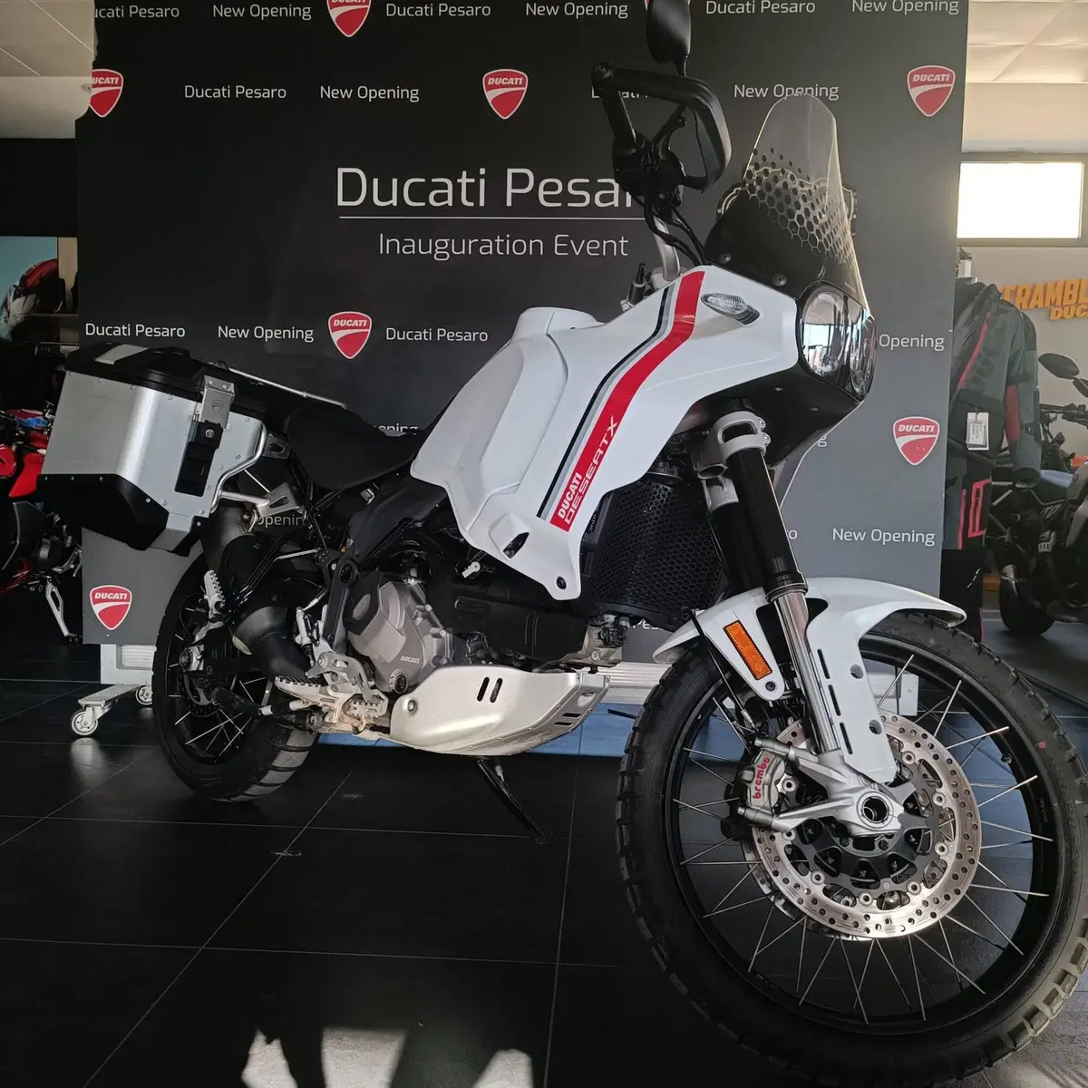 Ducati DesertX (2022 - 25) (9)