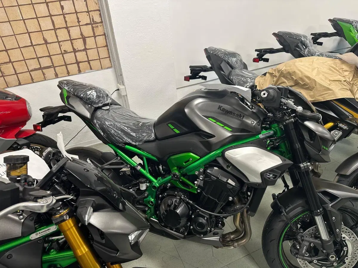 Kawasaki Z 900 (2025 - 26)