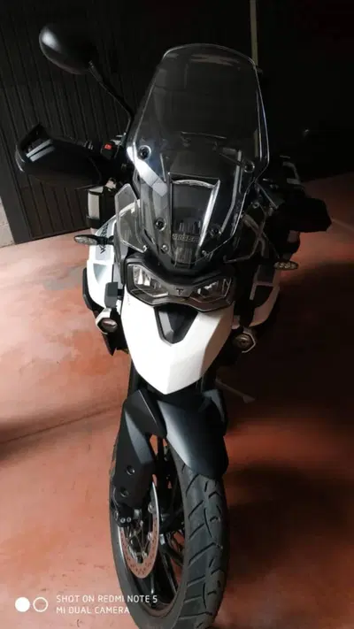 Triumph Tiger 900 GT Pro (2020 - 23) usata