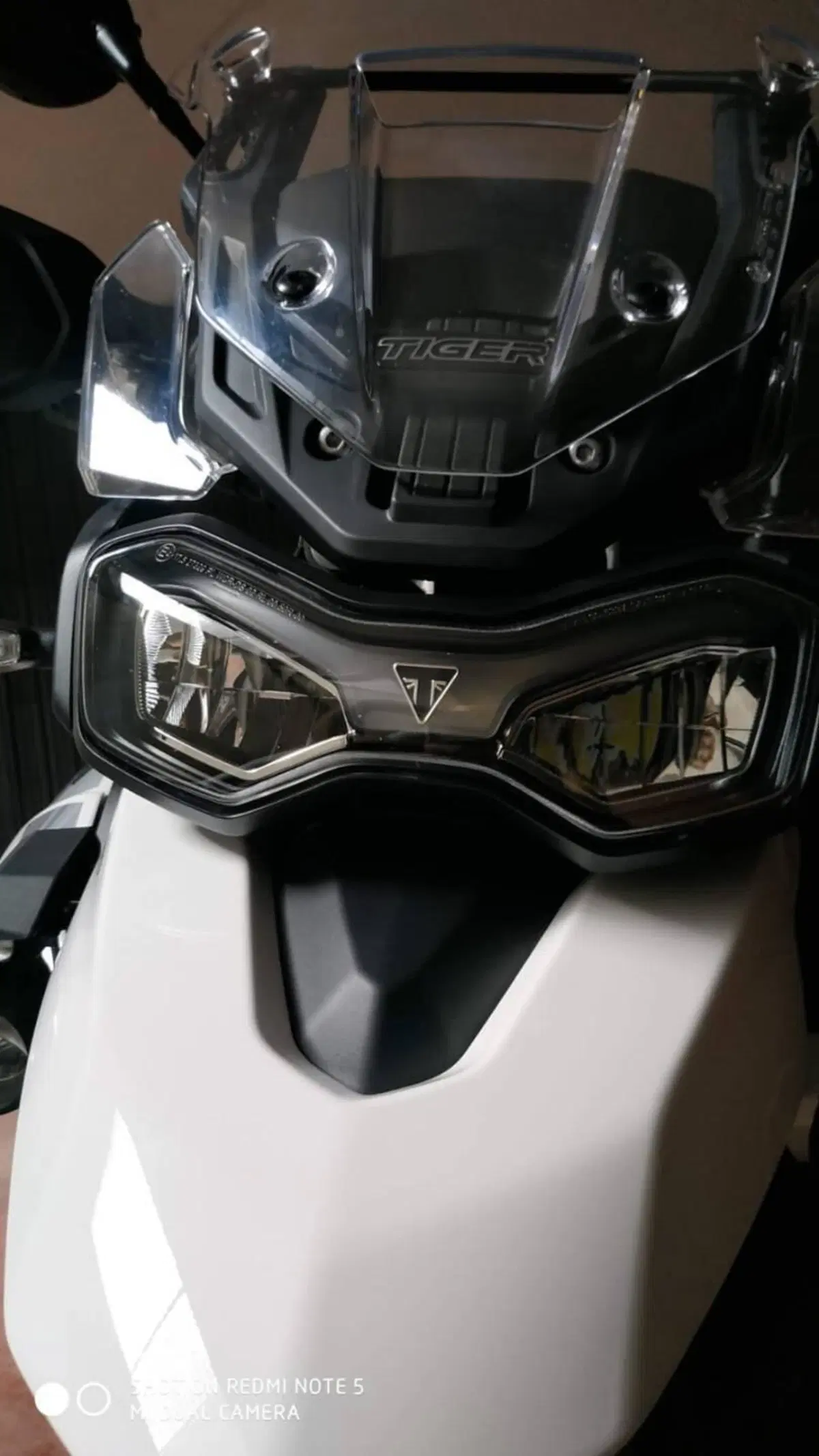 Triumph Tiger 900 GT Pro (2020 - 23) (8)