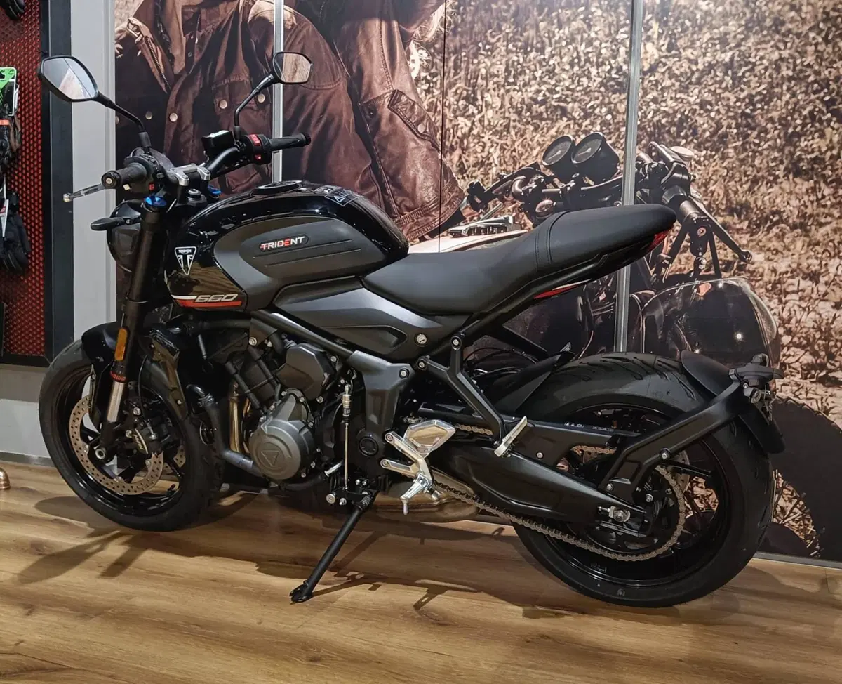 Triumph Trident 660 (2025) (4)
