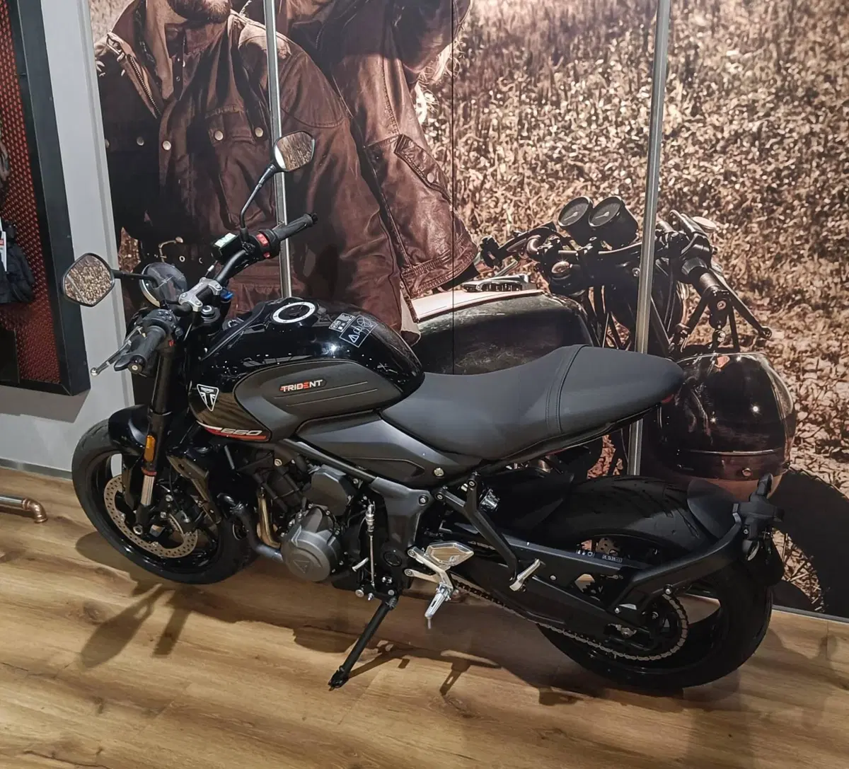 Triumph Trident 660 (2025) (5)