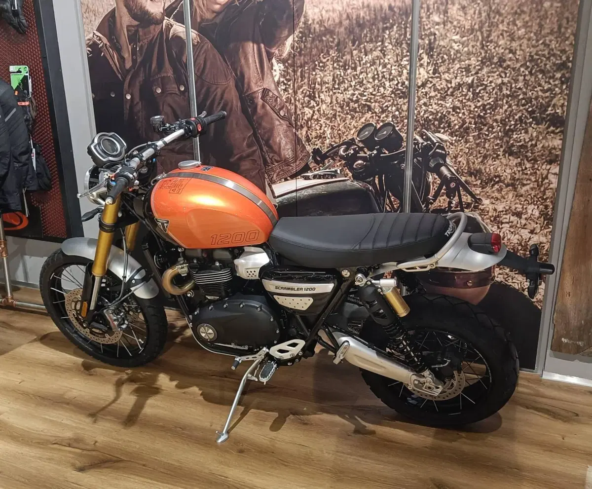Triumph Scrambler 1200 XE (2024 - 25) (5)