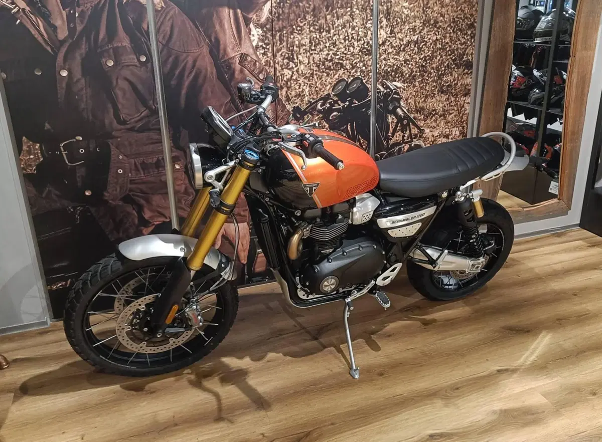 Triumph Scrambler 1200 XE (2024 - 25) (3)