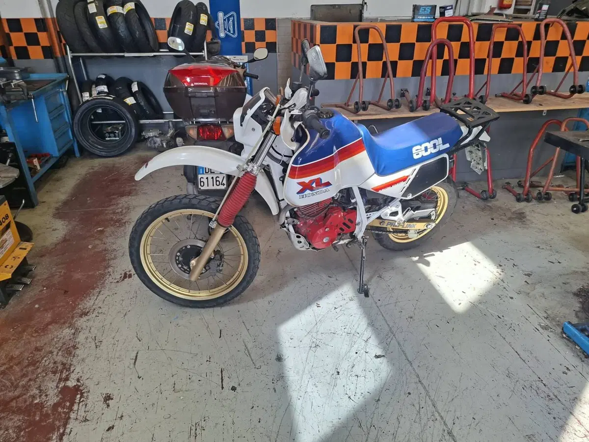 Honda XL600R