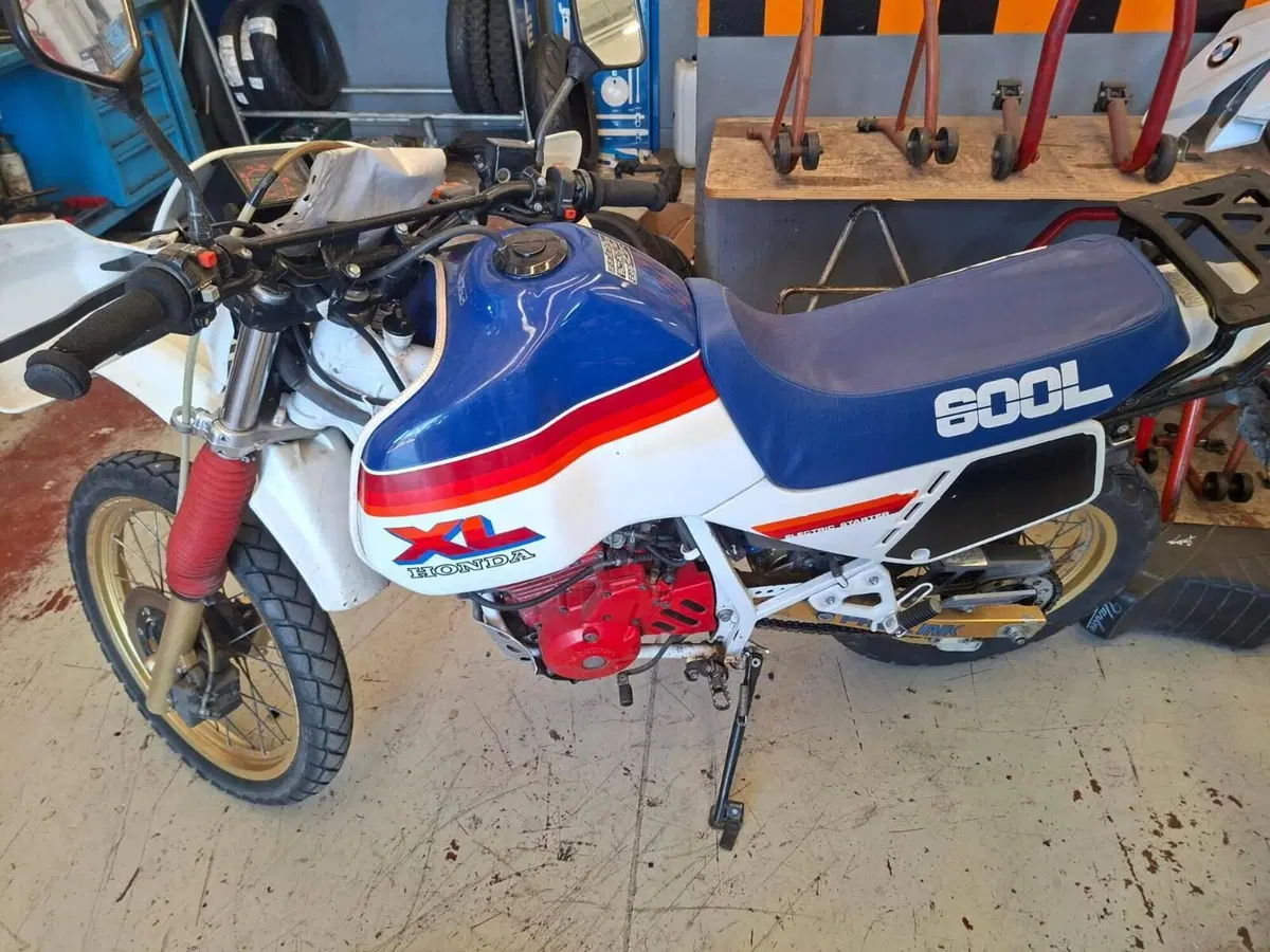 Honda XL600R (5)