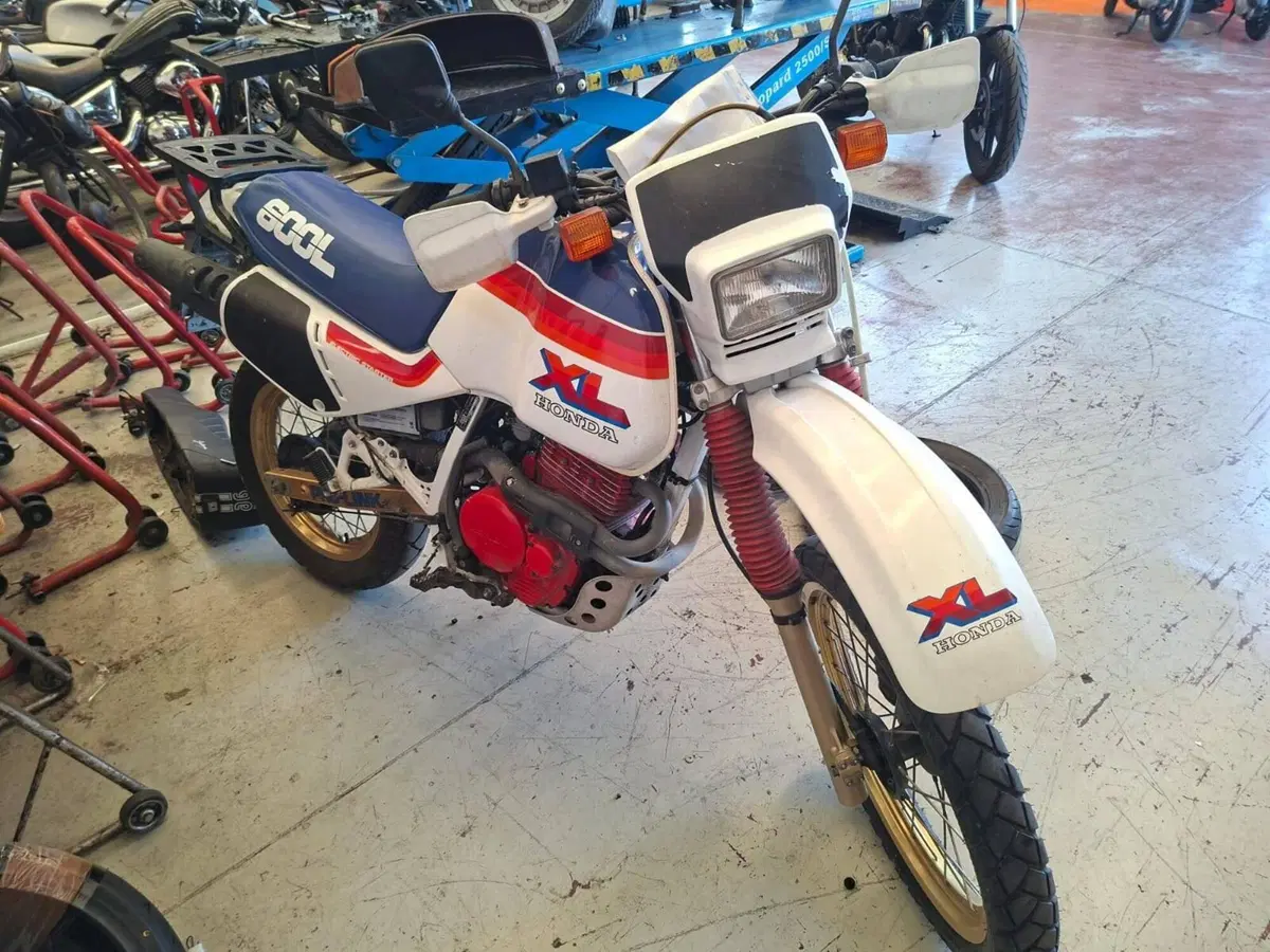 Honda XL600R (6)